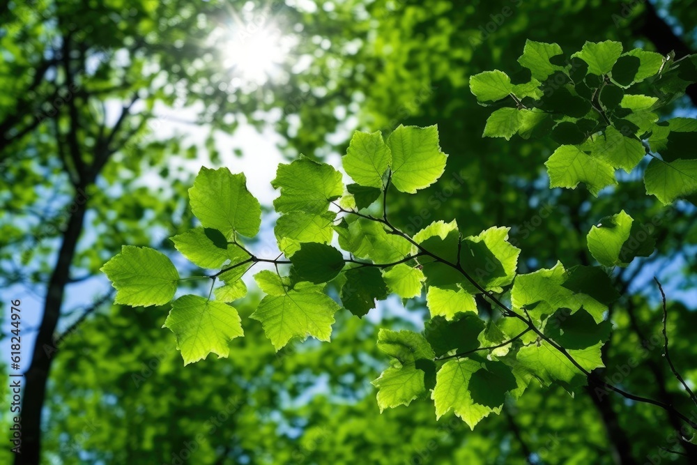 photo of Early summer blue sky little leaves Generative AI