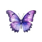 Beautiful violet butterfly isolated on white background in watercolor style. Generative AI.