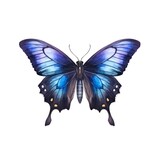 Colorful butterfly with black and blue wings isolated on white background in watercolor style. Generative AI.