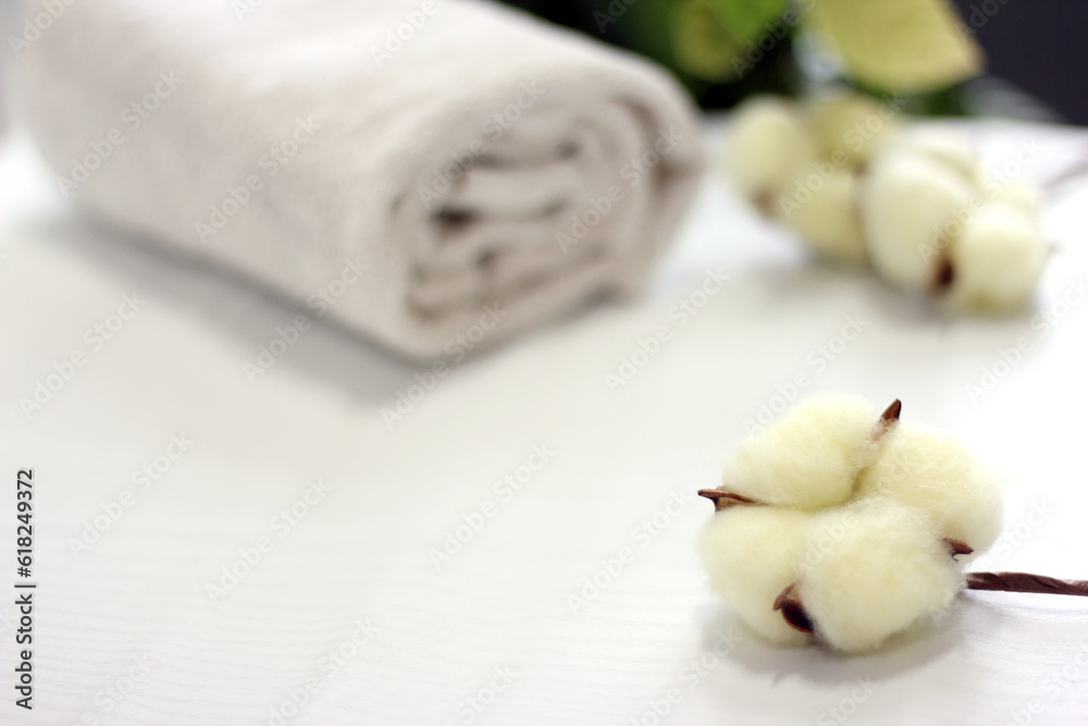 Branch with white cotton flowers on white background. Natural organic fiber, agriculture, cotton flower, raw materials for making fabric. Branch with white cotton flowers on white background. Natural organic fiber, agriculture, cotton flower, raw materials for making fabric.