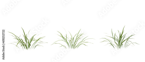 Bunches of grass on a transparent background. 3D rendering. 