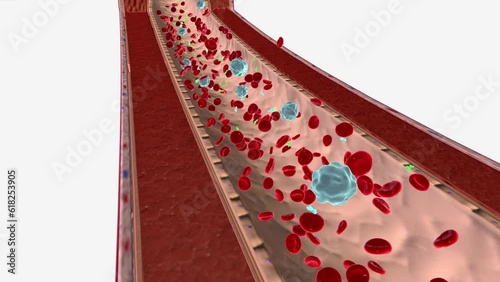 Blood Flow with Antinuclear Antibody photo