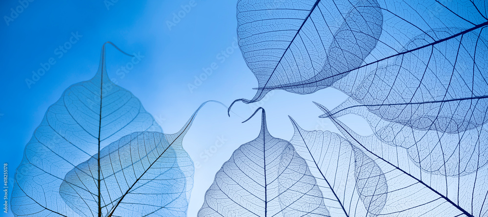 Leaf with veins and cells macro photography