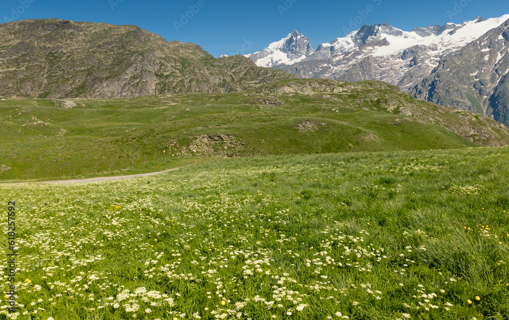 plateau d'Emparis au mois de juin dans les Alpes en france 