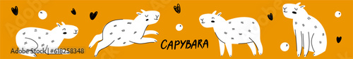 Horizontal illustration of the capybara collection, hand-drawn in doodle style	