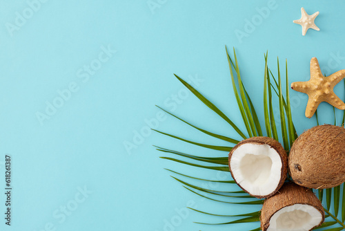 Coconuts-inspired summer concept. Top view flat lay of ripe coconuts, palm leaf, starfish on light blue background with empty space for advert or text