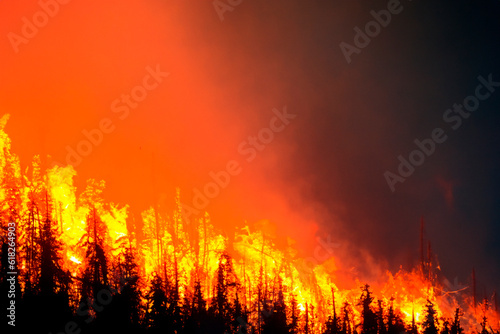 Wildfire. Wildfire in Greece. Forest fire. Forest fire in progress. Fire. Large flames. Maui. British Columbia. Canada. Athens. Evros. Parnitha. Dadia. Alexandroupolis. Rodopi. Mount Parnitha. Andros.