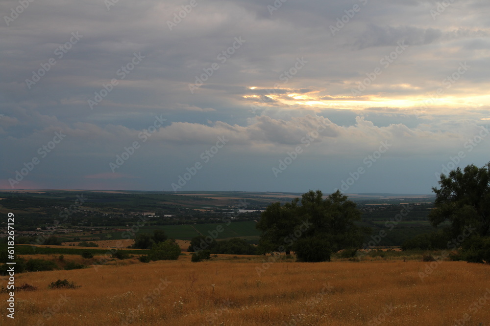 A field with trees and clouds A field with trees and clouds