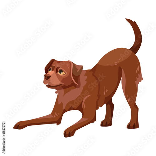 Labrador Retriever Dog Breed with Brown Coat Vector Illustration