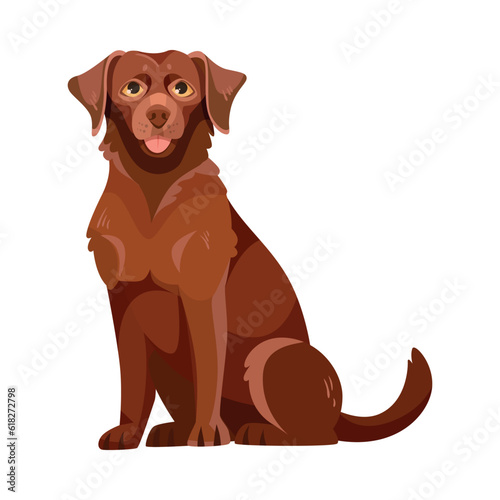 Labrador Retriever Dog Breed with Brown Coat Sitting Vector Illustration