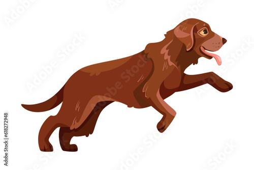 Labrador Retriever Dog Breed with Brown Coat Running Vector Illustration