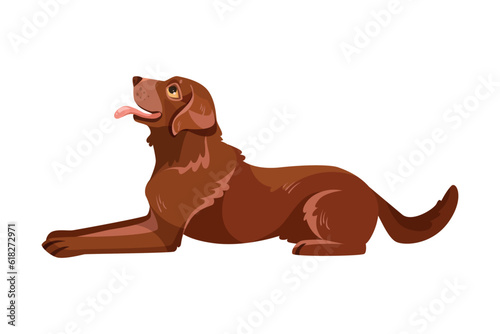 Labrador Retriever Dog Breed with Brown Coat Sitting Vector Illustration