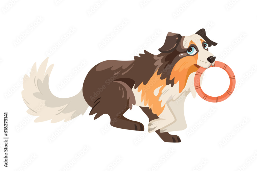 Border Collie Dog Breed with Thick Coat Running with Ring Vector Illustration