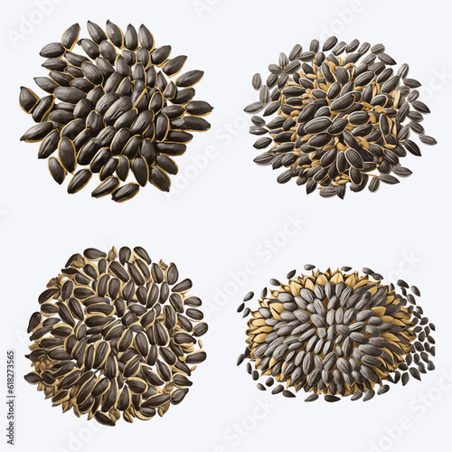Beautiful Sunflower seeds in solid background, vector illustration