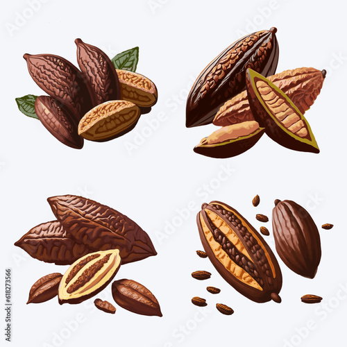 Cocoa beans with leaves and seeds. Vector illustration of cocoa beans.