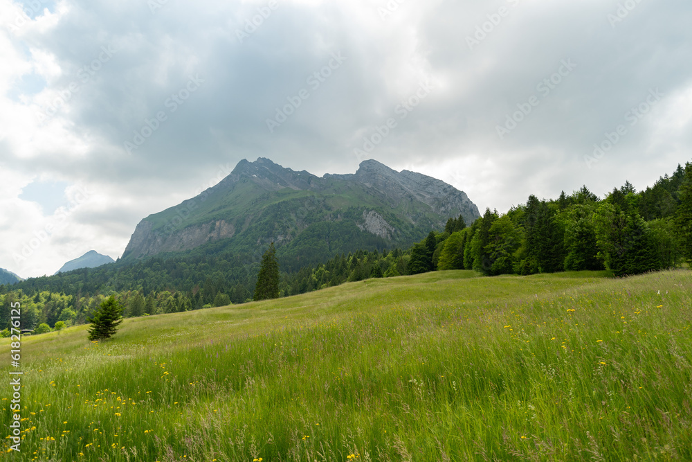 Fototapeta premium Alpine scenery at the lake Waegitalersee in Switzerland