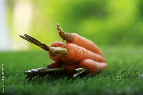 Baby carrot on green grass. Fresh baby carrot with betacarotine. Vegetable in nature. photo