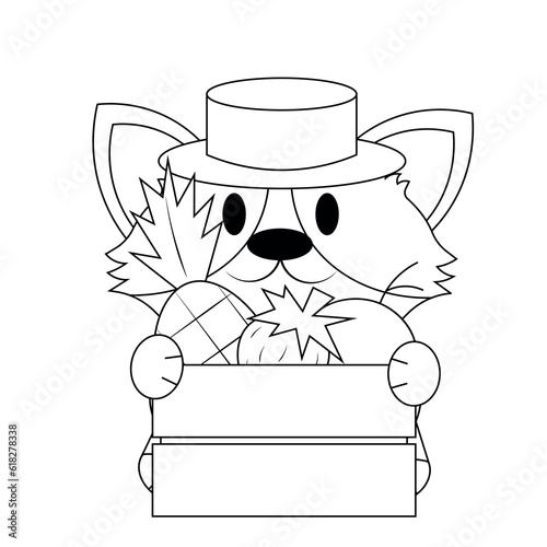 Cute Corgi with fruit in wooden box in black and white photo