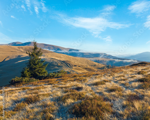 Autumn morning mountain view with country road (Carpathians, Ukraine).