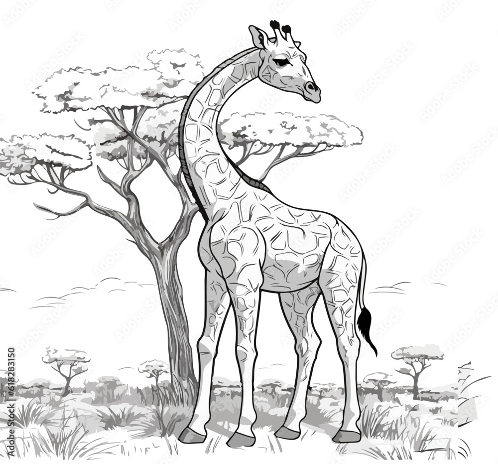 Fototapeta premium Black and white illustration of a giraffe on a tree background. vector illustration