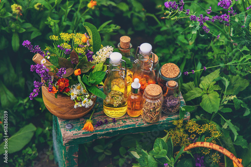 Plants and herbs, nature, alternative medicine. Selective focus.