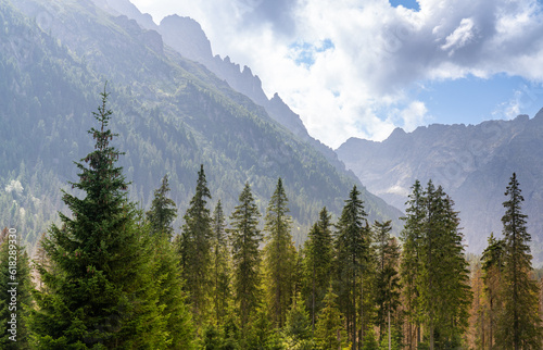 Fototapeta Naklejka Na Ścianę i Meble -  Tatra National Park, Polish Tatra Mountains