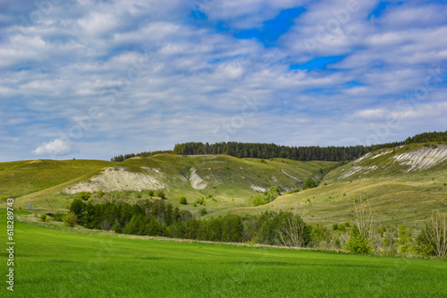 A walk on a sunny summer day on the chalk hills