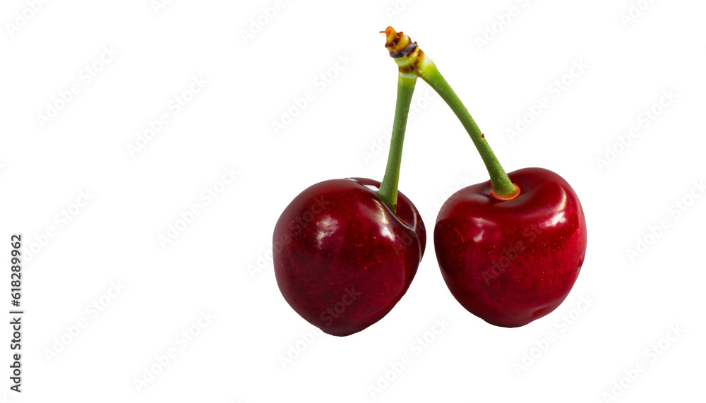 Fresh Cherry Isolate Fresh Cherry Isolate