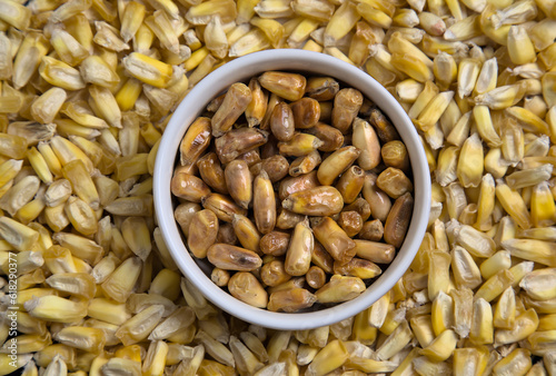 Peruvian chulpe corn kernels (raw roasted cancha nuts) for ceviche or cebiche (fried popcorn, maiz, cuzco, maize, toasted ancient grains) cooked product of Peru, Ecuador, Colombia, chulpi alimentos photo