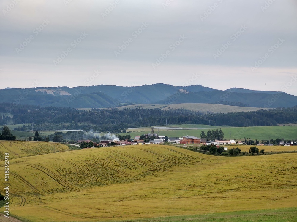 Fototapeta premium Wheat field during sunnrise or sunset. Slovakia 
