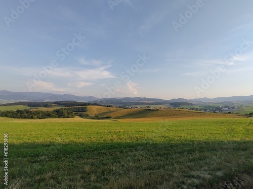 Wheat field during sunnrise or sunset. Slovakia 