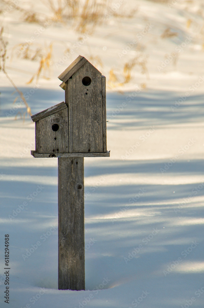 Birdhouse In Winter In A Wisconsin Conservancy Area Birdhouse In Winter In A Wisconsin Conservancy Area