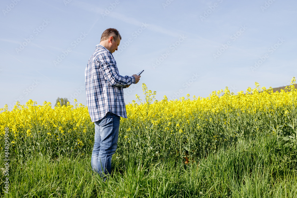 A middle-aged male agronomist farmer with a digital tablet examines the fields with a rapeseed crop and writes the data into an electronic device. Farming and modern technologies.