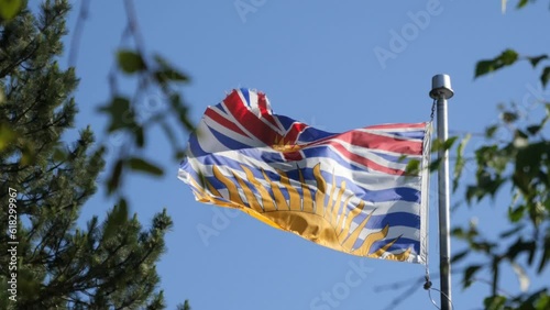 Provincial flag of British Columbia, Canada, waving in the wind against a tree and a clear blue sky at Porteau Cove Provincial Park.