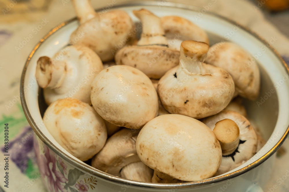 Raw mushrooms champignon in a bowl before cooking Raw mushrooms champignon in a bowl before cooking
