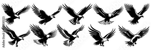 Eagle silhouettes set, large pack of vector silhouette design, isolated white background