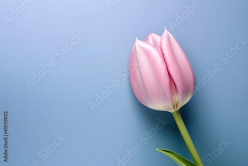 tulip flower close up of a realistic AI Generated © NikahGeh