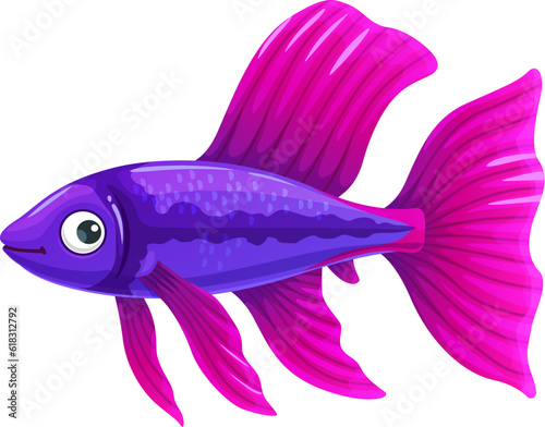 Colorful guppy aquarium fish. Isolated vector small, vibrant and peaceful tropical freshwater creature with vibrant hues, wide fins or tail, graceful movements and captivating stunning appearance
