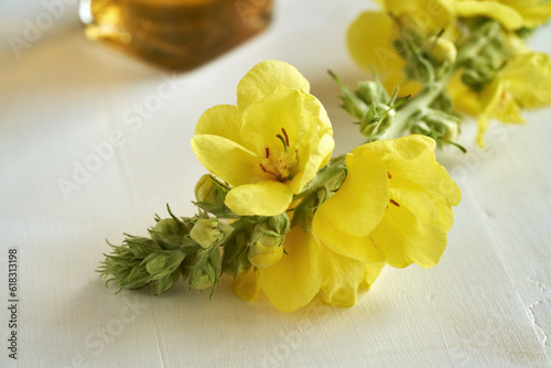 Blooming mullein or Verbascum plant on a table photo