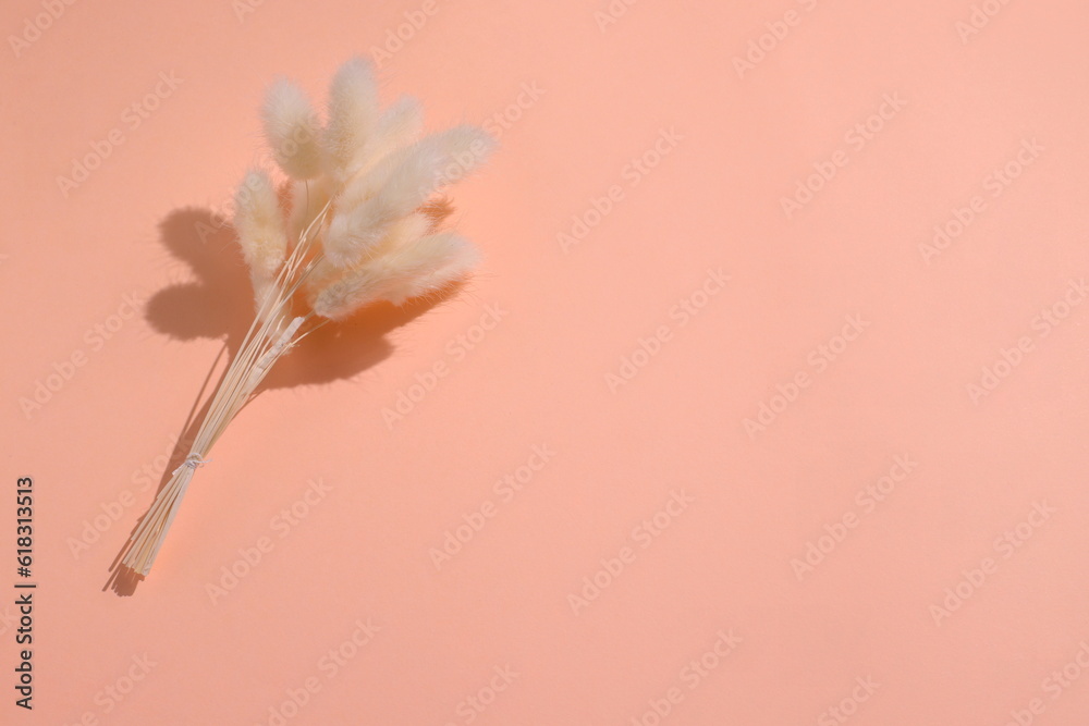 Fototapeta premium Dried beige flower bouquet, flower decor, copy space