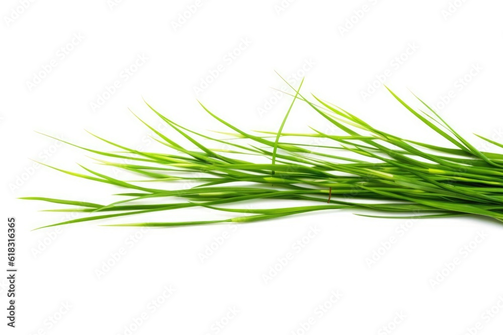 stock photo of Green reeds white isolated background Generative AI stock photo of Green reeds white isolated background Generative AI