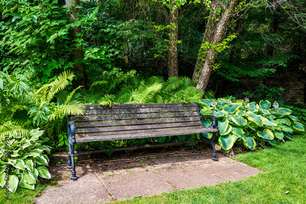 Park Bench in a Garden
