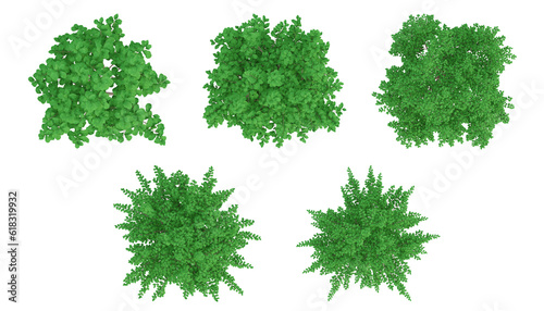 Green trees on top view isolated on transparent background, 2d plants, 3d render illustration.