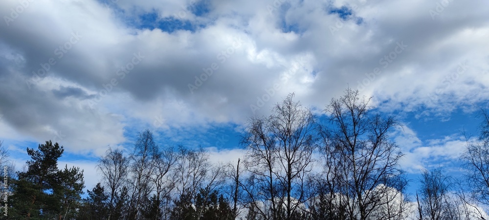 Snow-white fluffy cloud. Above the tops of the trees, some of the branches of which are still without leaves, a large white cloud hangs against the blue sky. Above it, other translucent clouds.