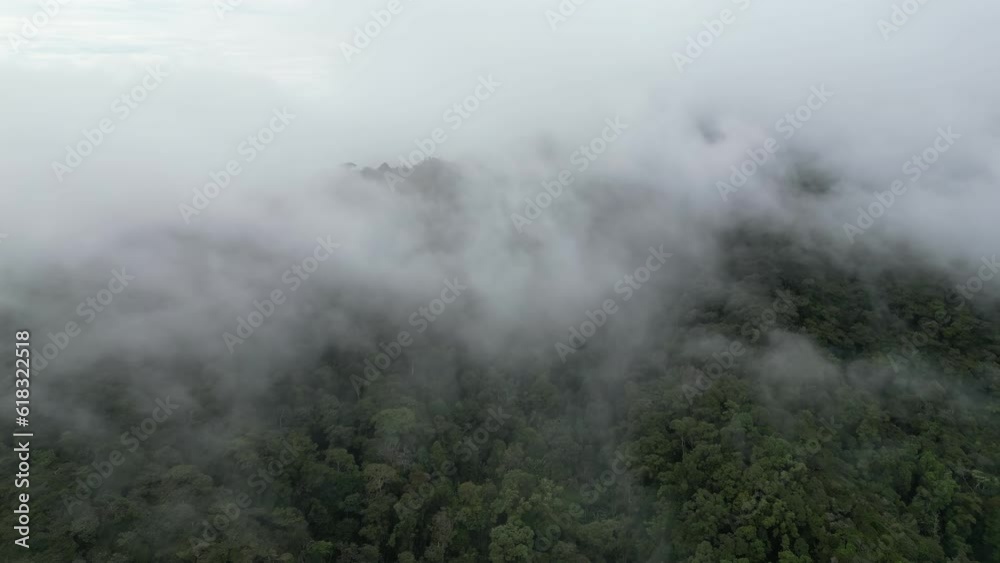 Cameron Highlands fog cloud over rainforest in aerial perspective Cameron Highlands fog cloud over rainforest in aerial perspective