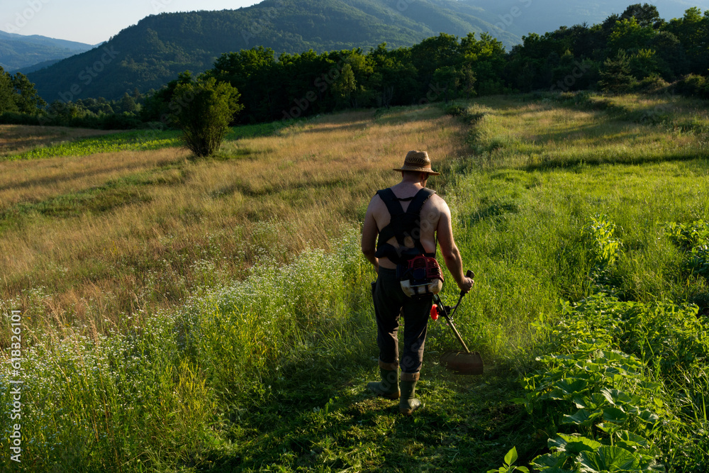 At sunset, a farmer trims grass with a trimmer around his vegetable garden in the field. He wears a straw hat and no shirt due to the heat.