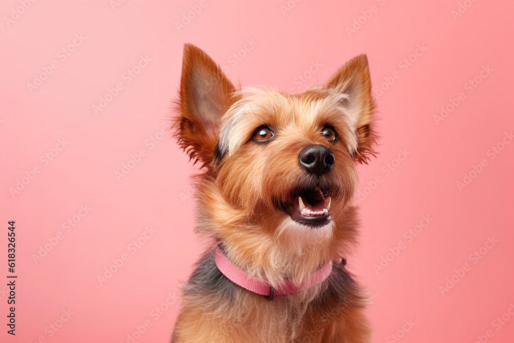 Exploring the world a curious Yorkshire Terrier AI generative Exploring the world a curious Yorkshire Terrier AI generative