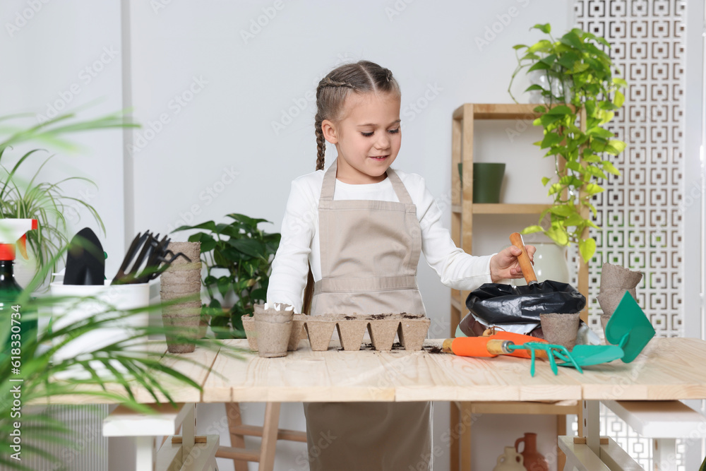 Little girl adding soil into peat pots at wooden table in room. Growing vegetable seeds Little girl adding soil into peat pots at wooden table in room. Growing vegetable seeds