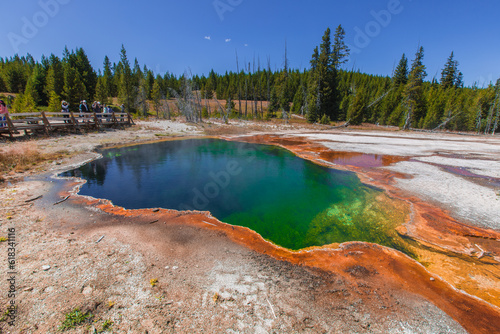 Hot Spring in Yellowstone National Park 