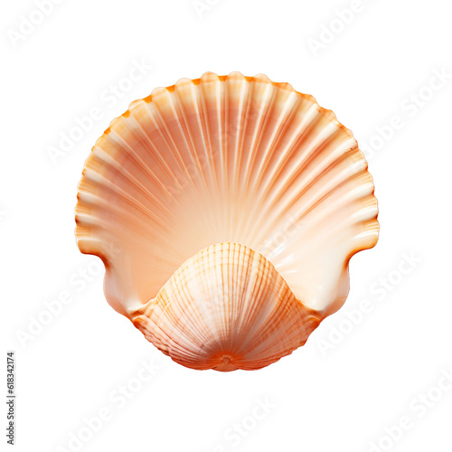 Orange seashell, isolated, transparent background. Generative AI image.
